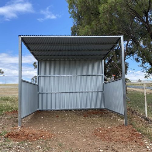 486164859_647320004715576_1499993561677322624_n