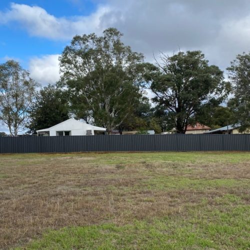 500236644_693788593402050_5263960103845332581_n